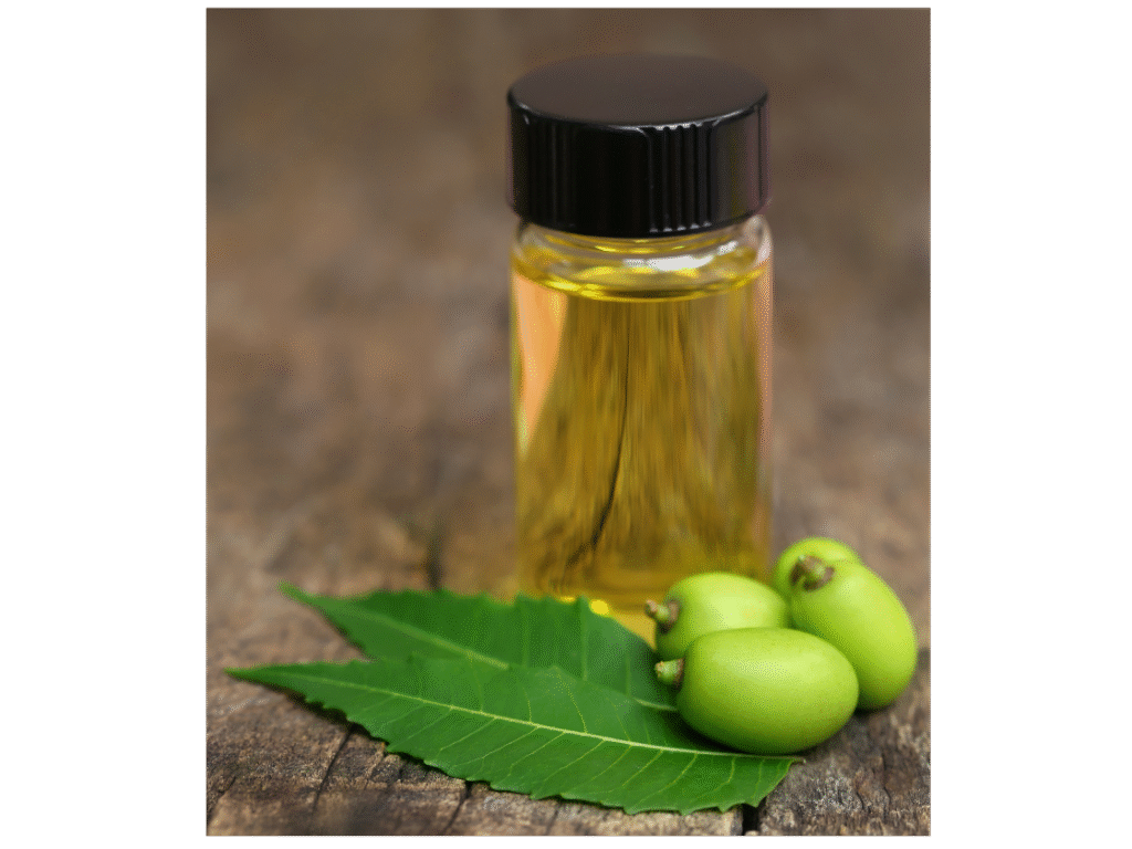 Huile de neem
